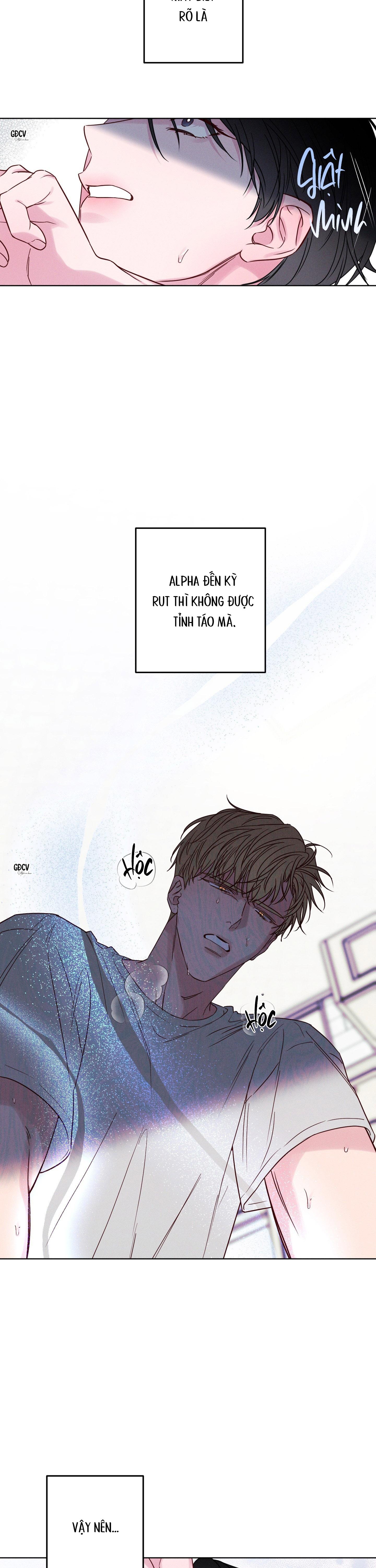 Đọc truyện BỜ SÓNG VỖ - Chapter 5
