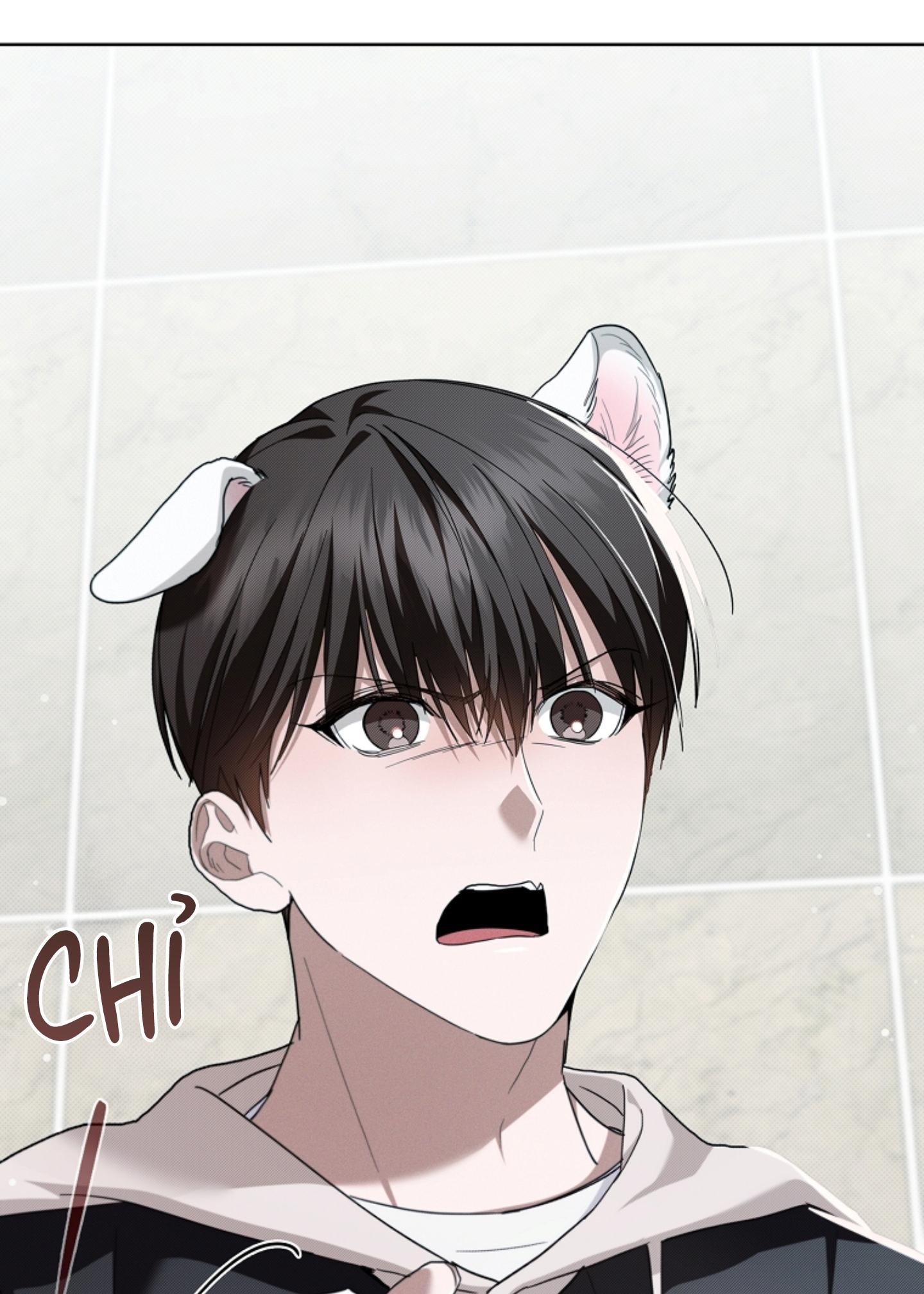Đọc truyện ĐỪNG ĐỘNG VÀO CÚN CON! - Chapter 21