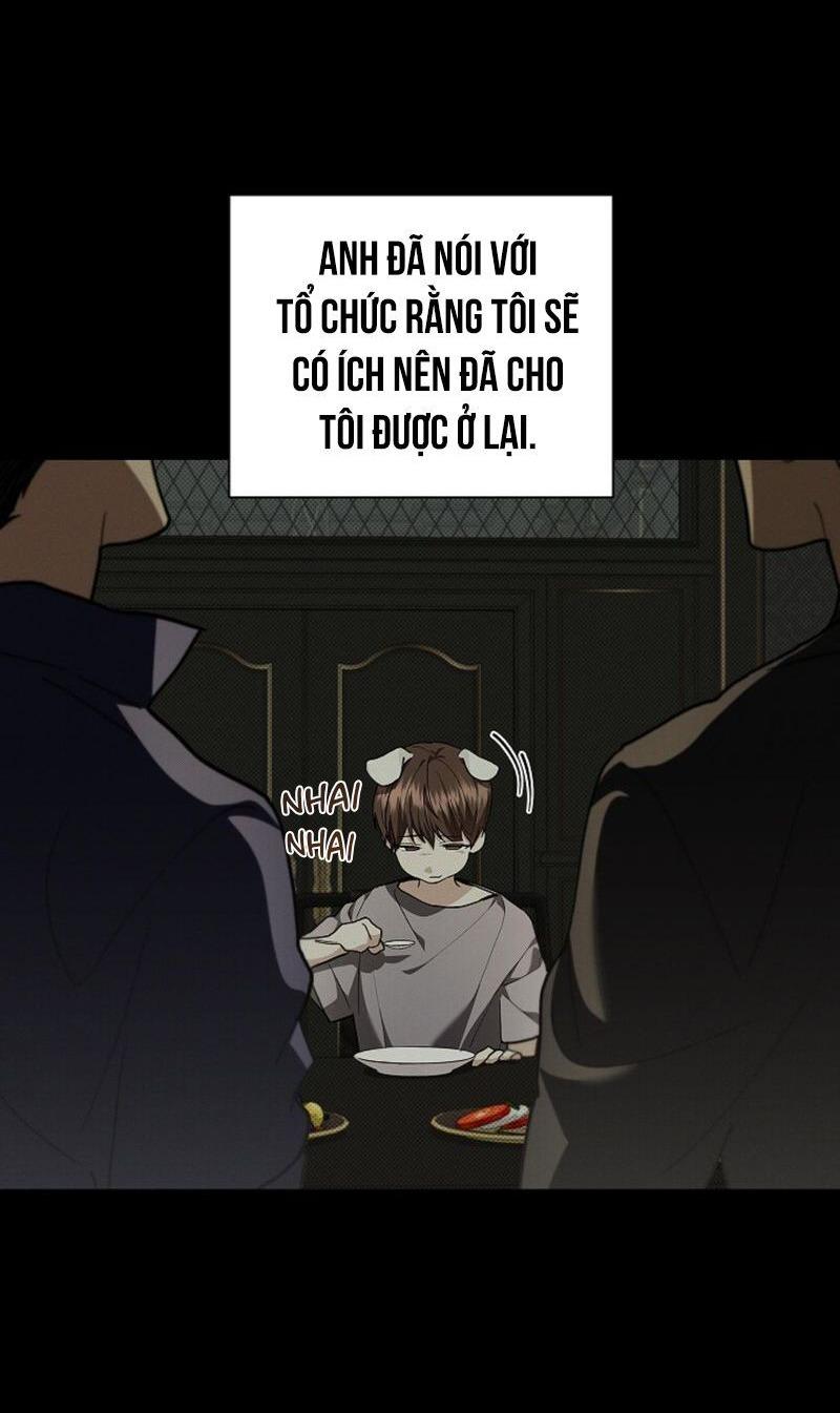 Đọc truyện ĐỪNG ĐỘNG VÀO CÚN CON! - Chapter 16