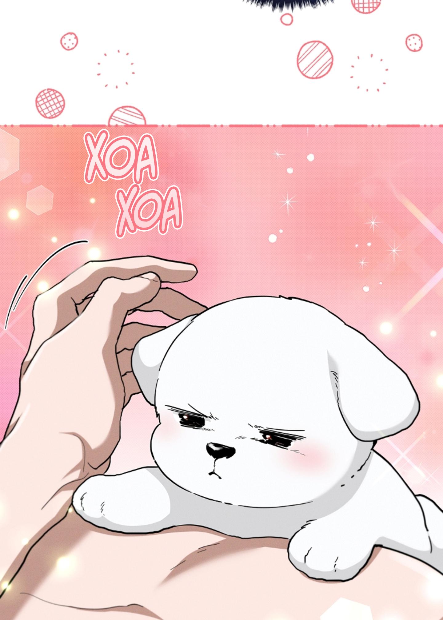 Đọc truyện ĐỪNG ĐỘNG VÀO CÚN CON! - Chapter 21