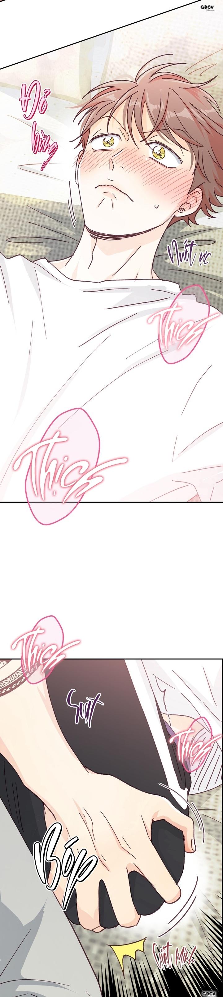 Đọc truyện [END] BẠN TRAI VÔ SONG CỦA TÔI - Chapter 33