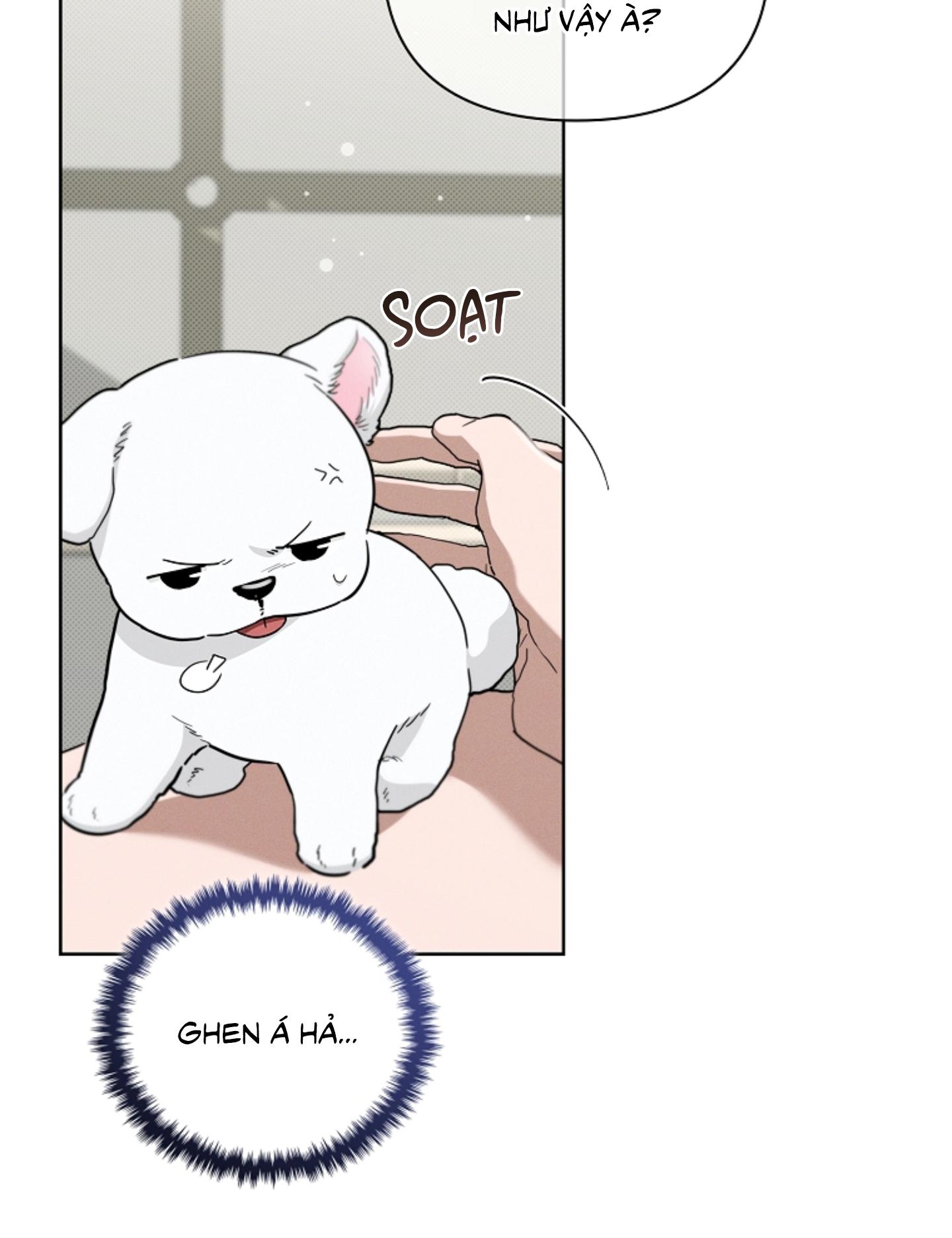 Đọc truyện ĐỪNG ĐỘNG VÀO CÚN CON! - Chapter 21
