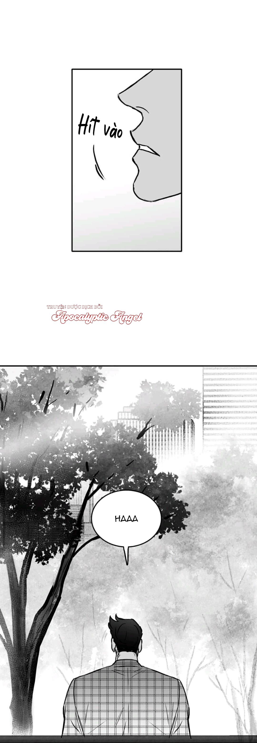 Đọc truyện Chúng Ta Đều Là Kẻ Ngốc - Chapter 17