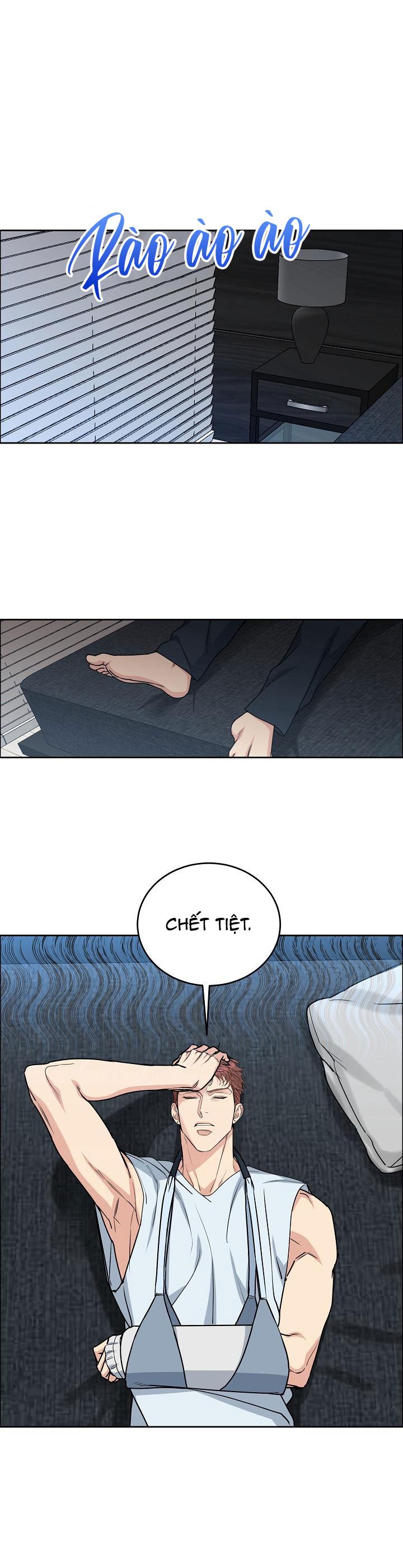 Đọc truyện CHÓ VÀ CHIM - Chapter 21