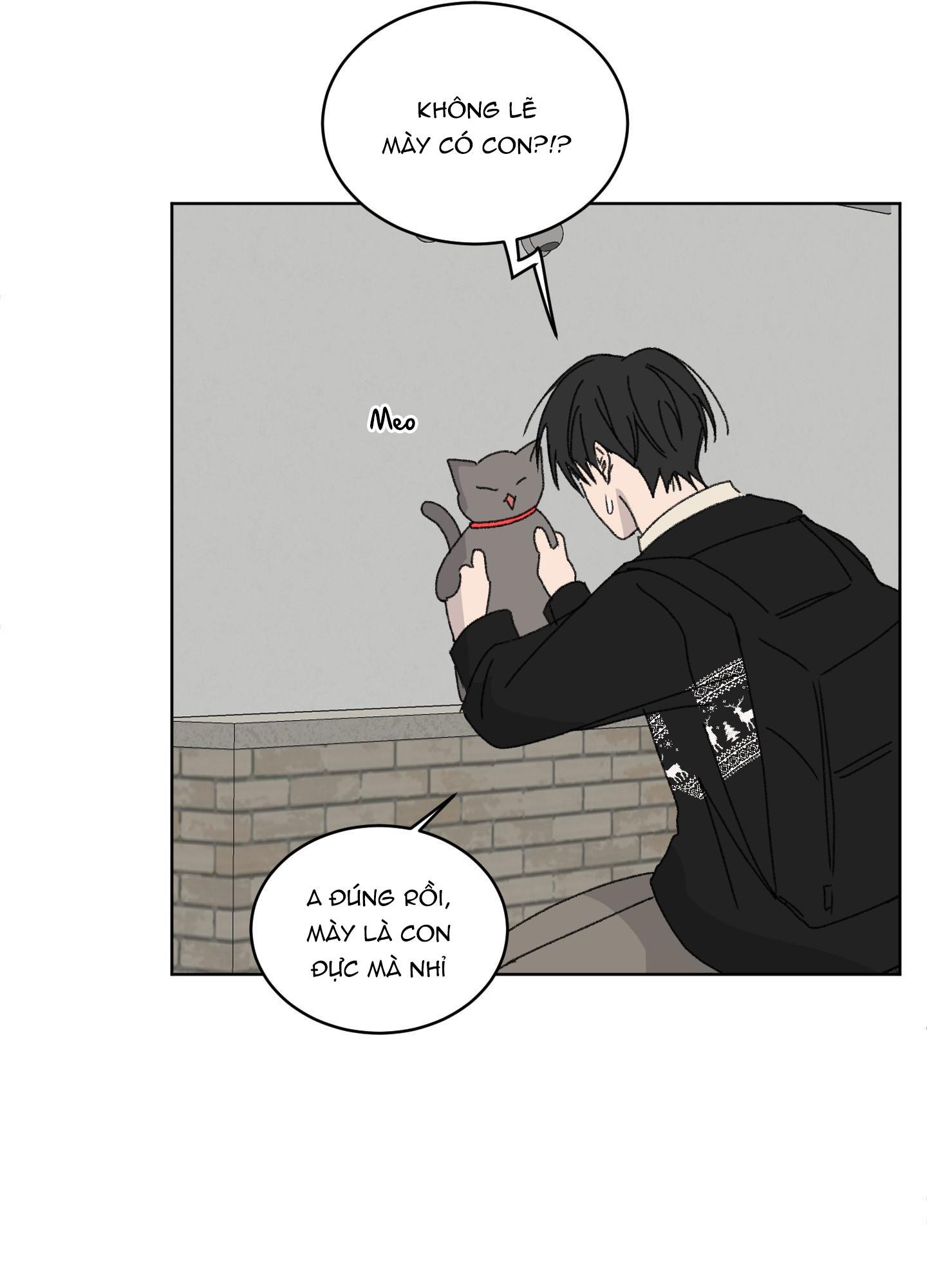 Đọc truyện Missing Romance - Chapter 19