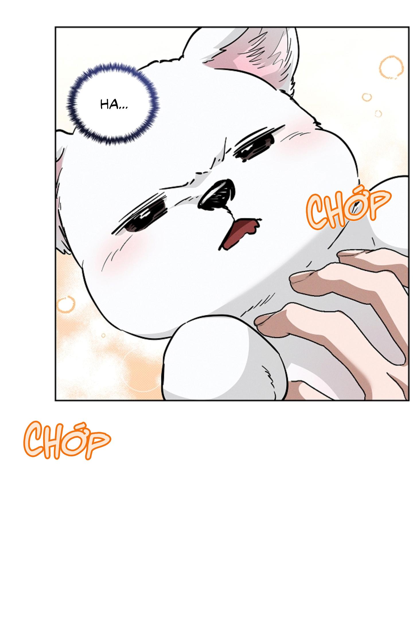 Đọc truyện ĐỪNG ĐỘNG VÀO CÚN CON! - Chapter 26