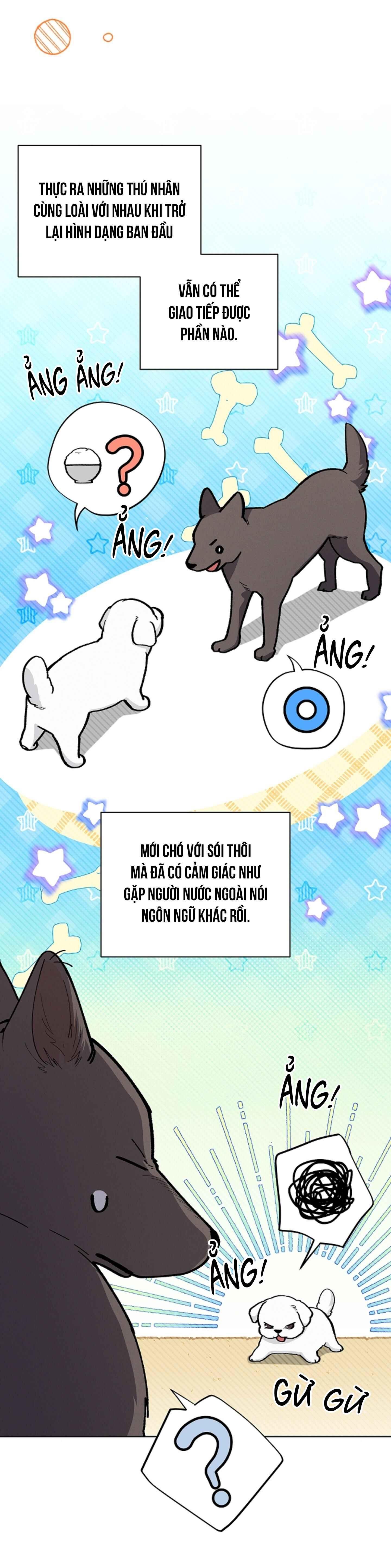 Đọc truyện ĐỪNG ĐỘNG VÀO CÚN CON! - Chapter 6