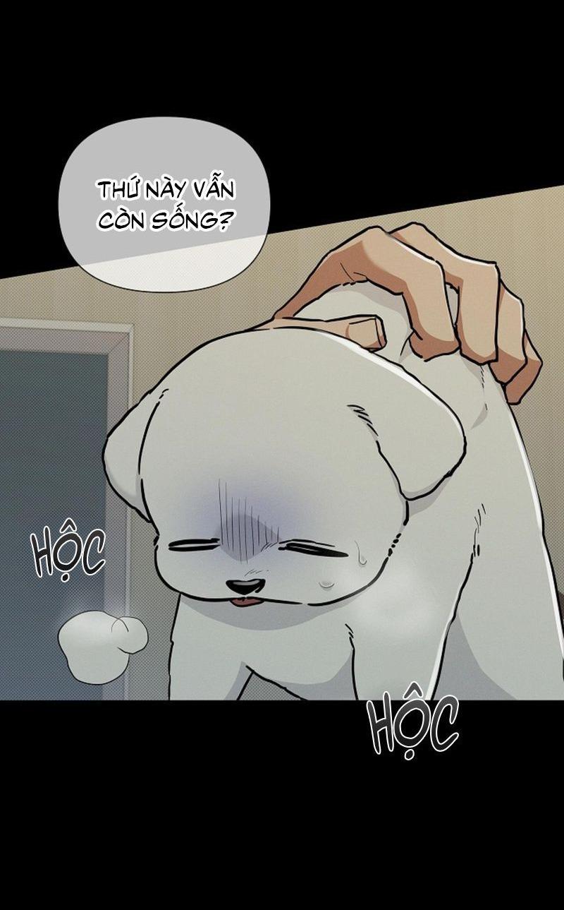Đọc truyện ĐỪNG ĐỘNG VÀO CÚN CON! - Chapter 16