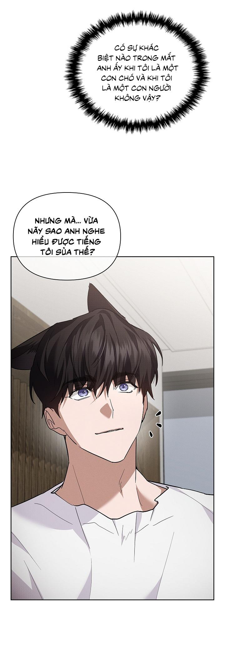 Đọc truyện ĐỪNG ĐỘNG VÀO CÚN CON! - Chapter 32