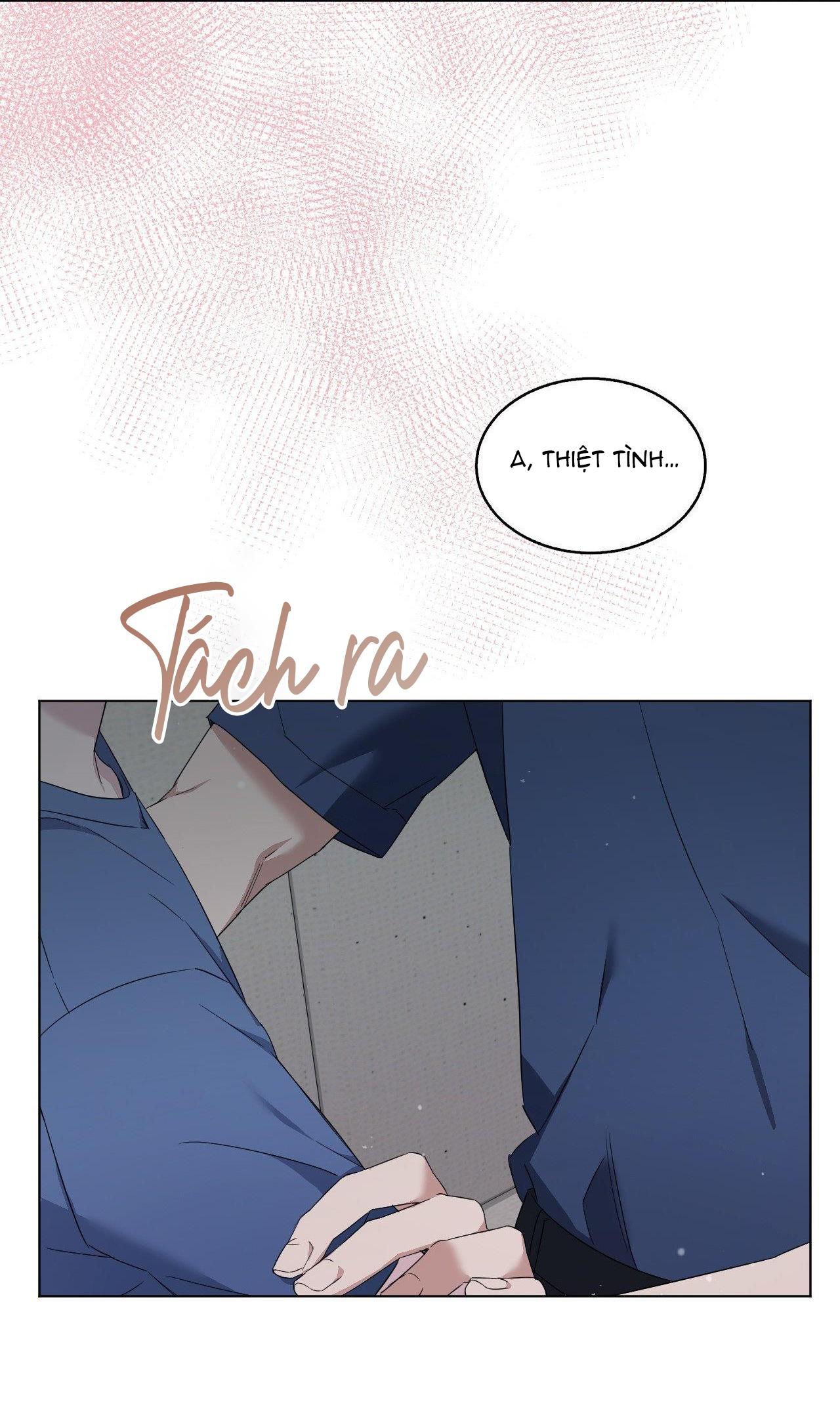 Đọc truyện LỖI TẠI DỄ THƯƠNG - Chapter 39