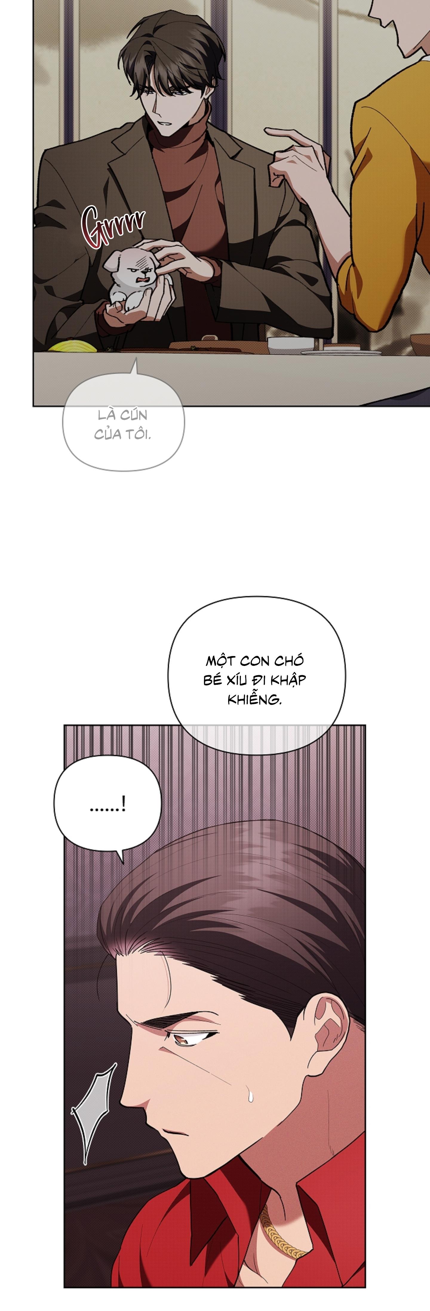Đọc truyện ĐỪNG ĐỘNG VÀO CÚN CON! - Chapter 11