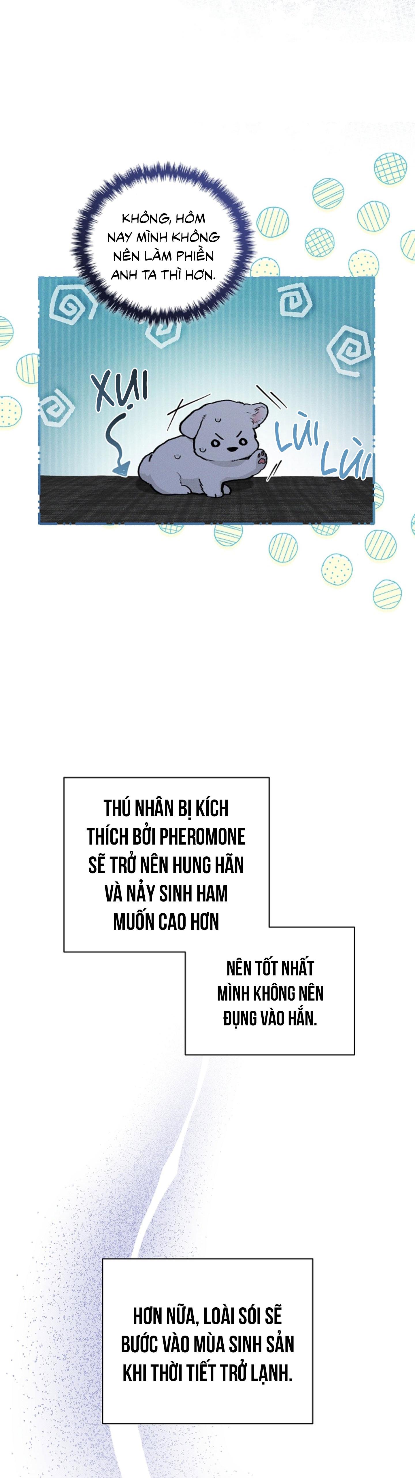 Đọc truyện ĐỪNG ĐỘNG VÀO CÚN CON! - Chapter 7