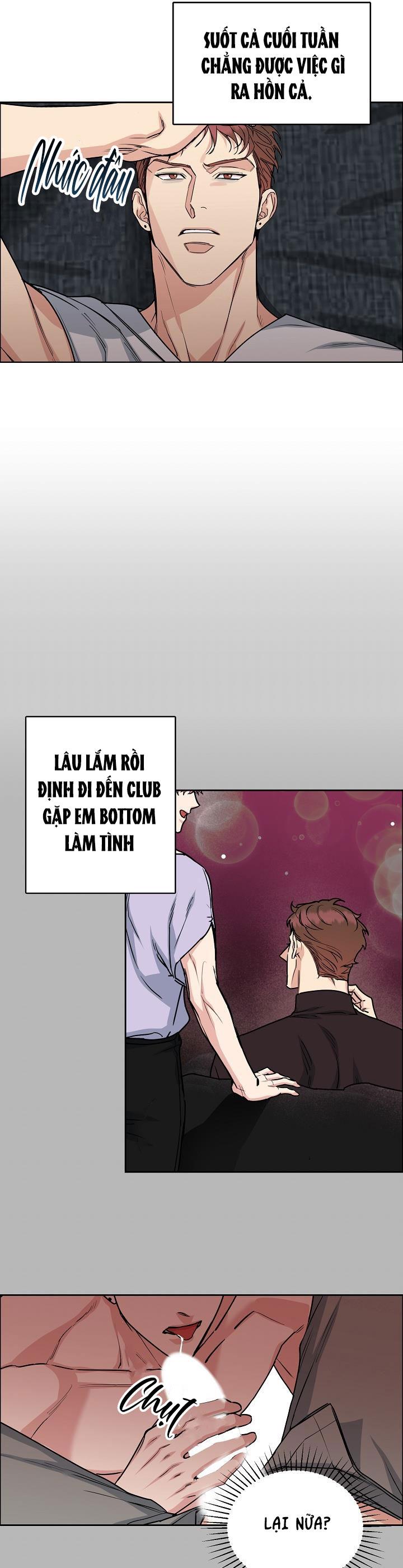 Đọc truyện CHÓ VÀ CHIM - Chapter 21