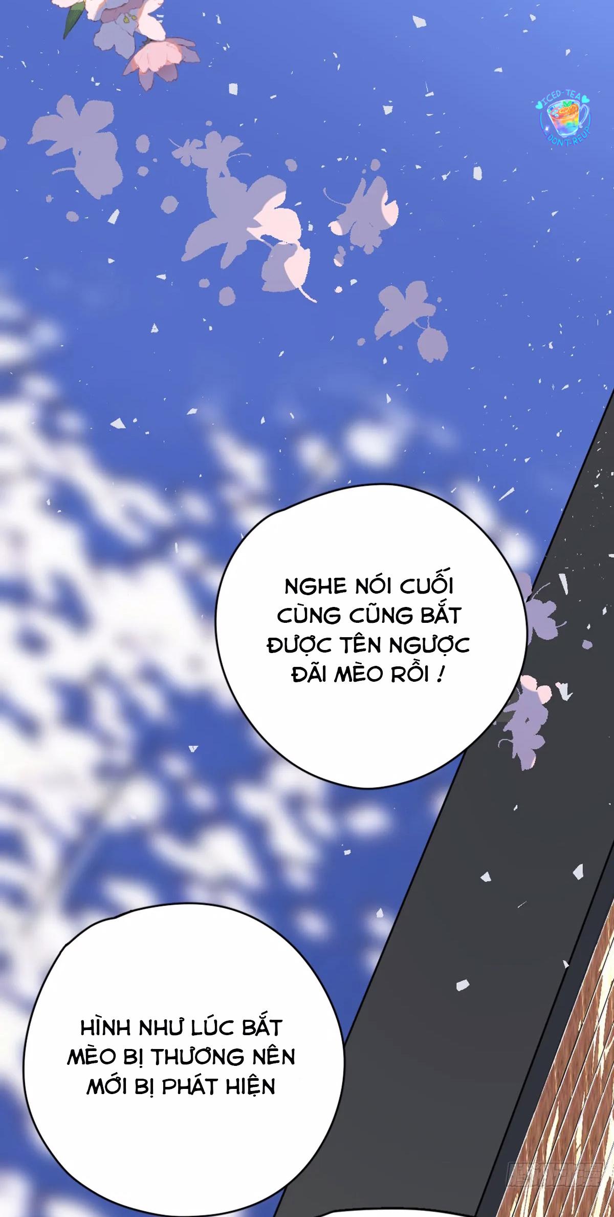 Đọc truyện Tà thần của riêng tôi - Chapter 9.5