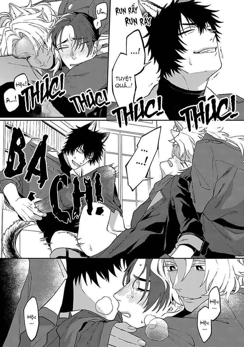 Đọc truyện Gấp đôi rắc rối - Chapter 4