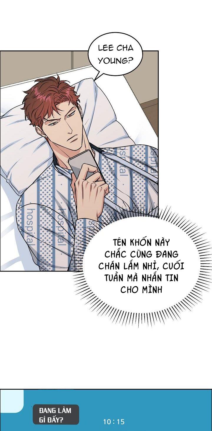 Đọc truyện CHÓ VÀ CHIM - Chapter 15