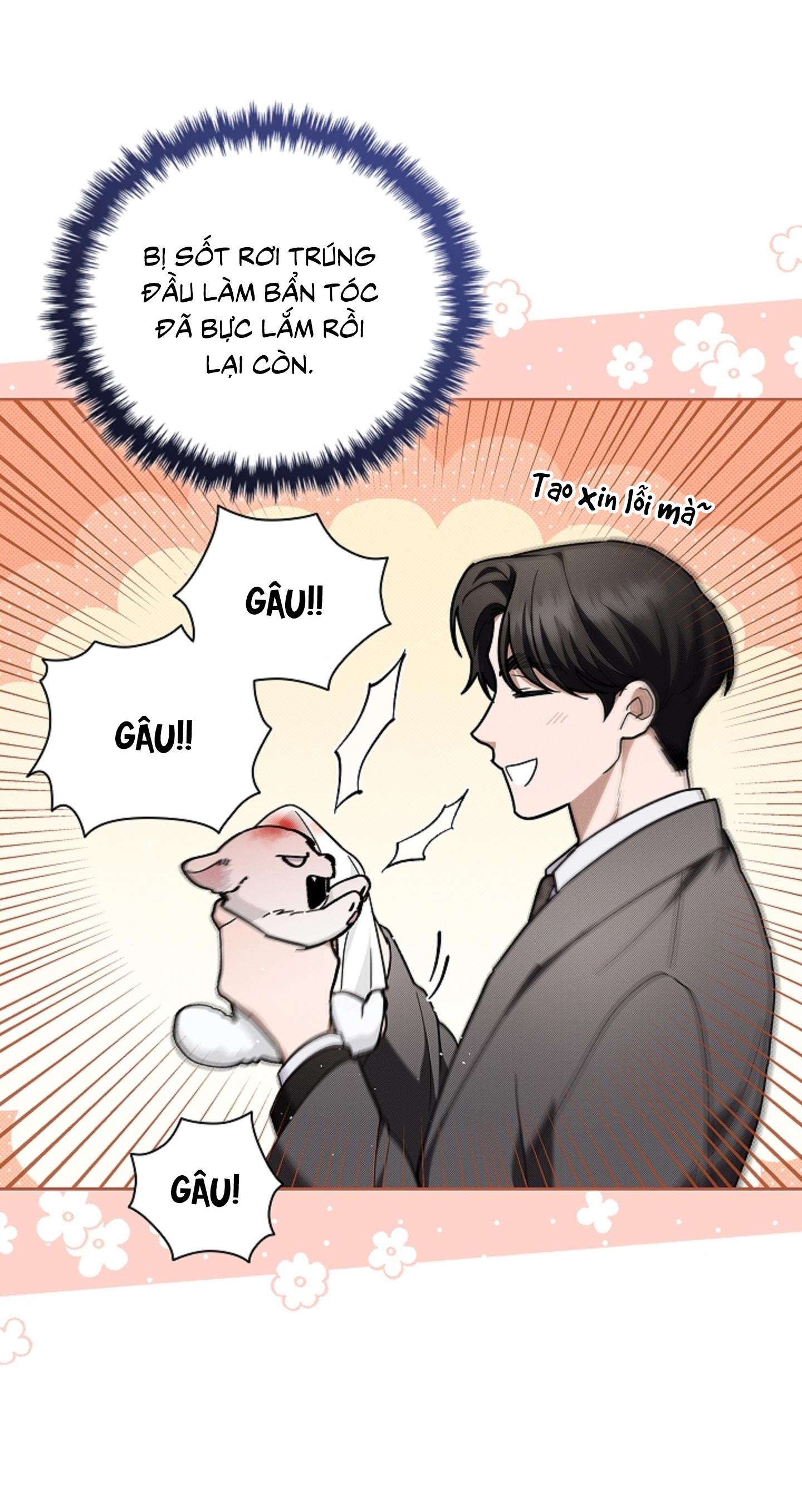 Đọc truyện ĐỪNG ĐỘNG VÀO CÚN CON! - Chapter 11