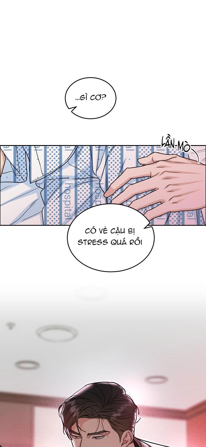 Đọc truyện CHÓ VÀ CHIM - Chapter 15