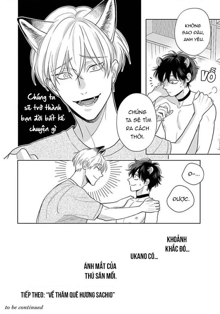 Đọc truyện Cách Khiến Một Omega Trở Nên Ngon Miệng - Chapter 11