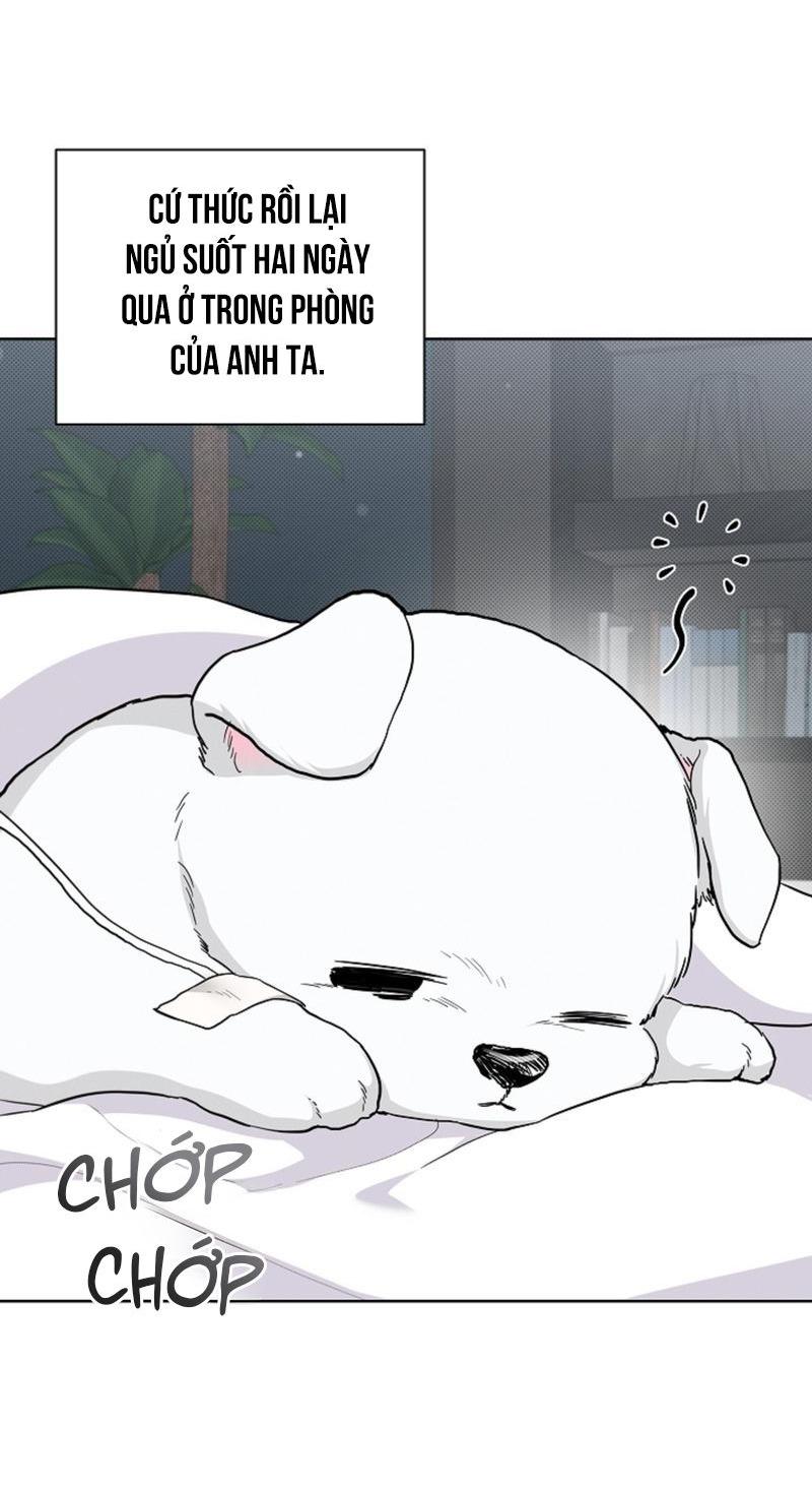 Đọc truyện ĐỪNG ĐỘNG VÀO CÚN CON! - Chapter 17