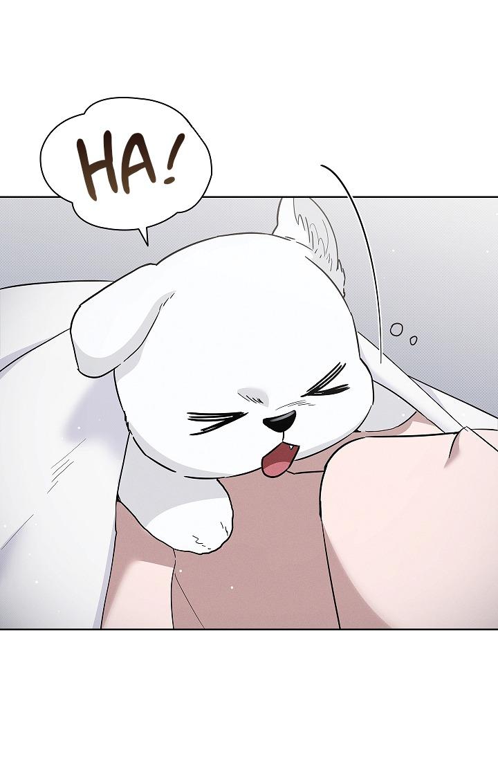 Đọc truyện ĐỪNG ĐỘNG VÀO CÚN CON! - Chapter 32