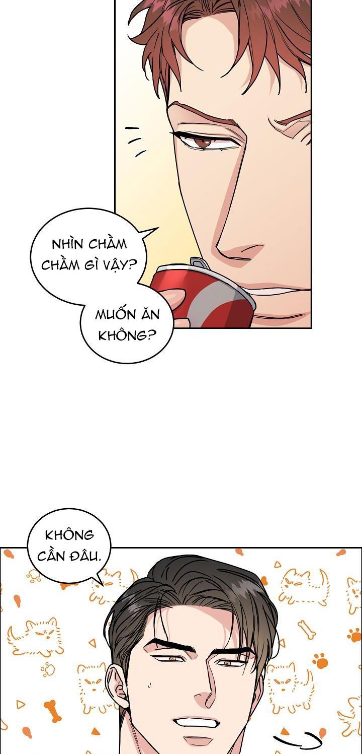 Đọc truyện CHÓ VÀ CHIM - Chapter 15