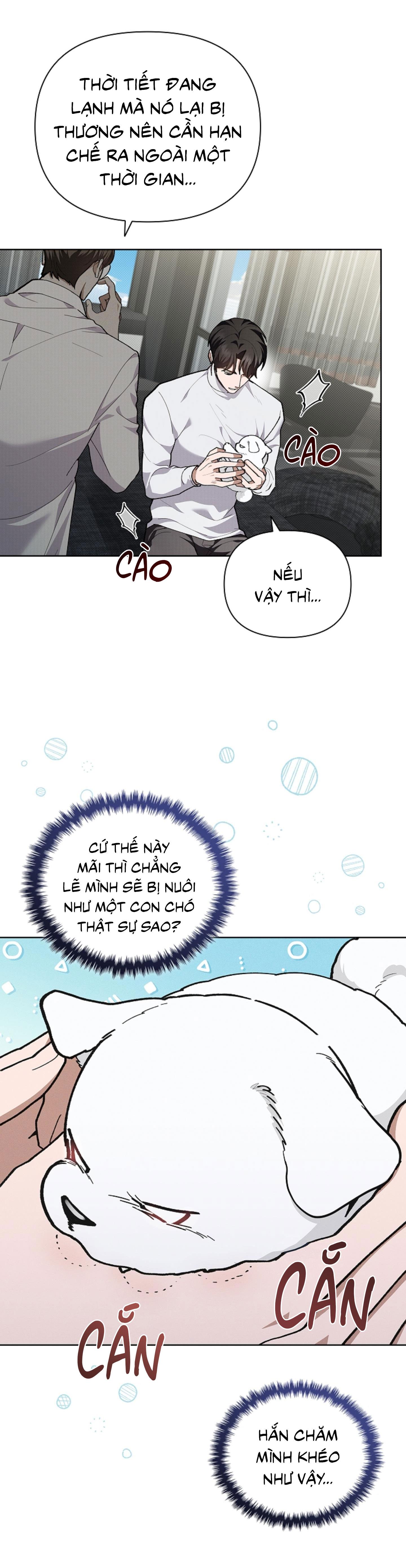 Đọc truyện ĐỪNG ĐỘNG VÀO CÚN CON! - Chapter 7