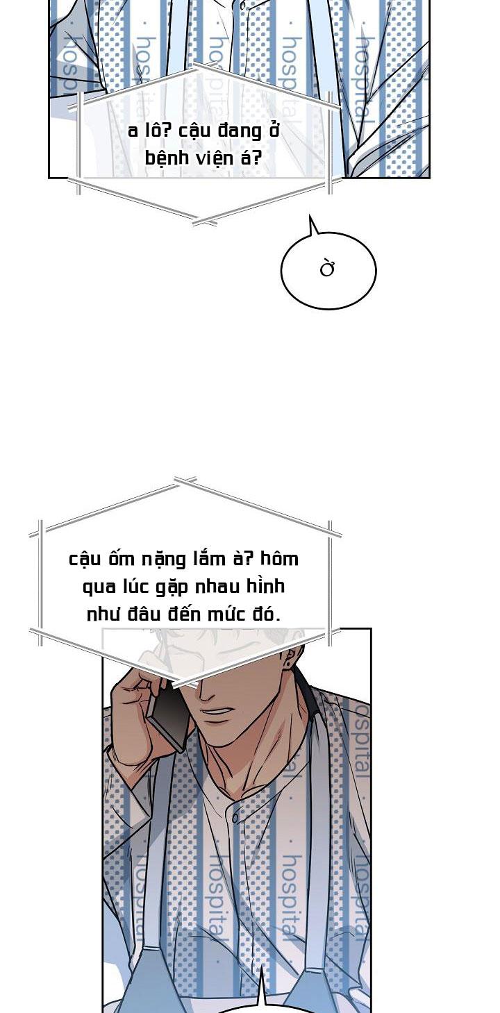 Đọc truyện CHÓ VÀ CHIM - Chapter 15