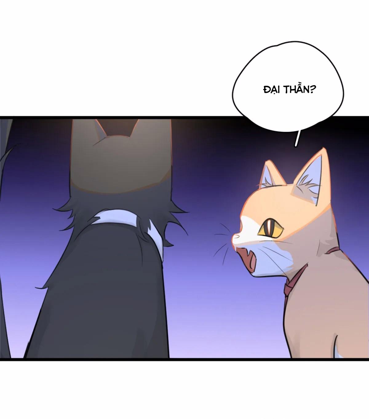 Đọc truyện Tà thần của riêng tôi - Chapter 9.5