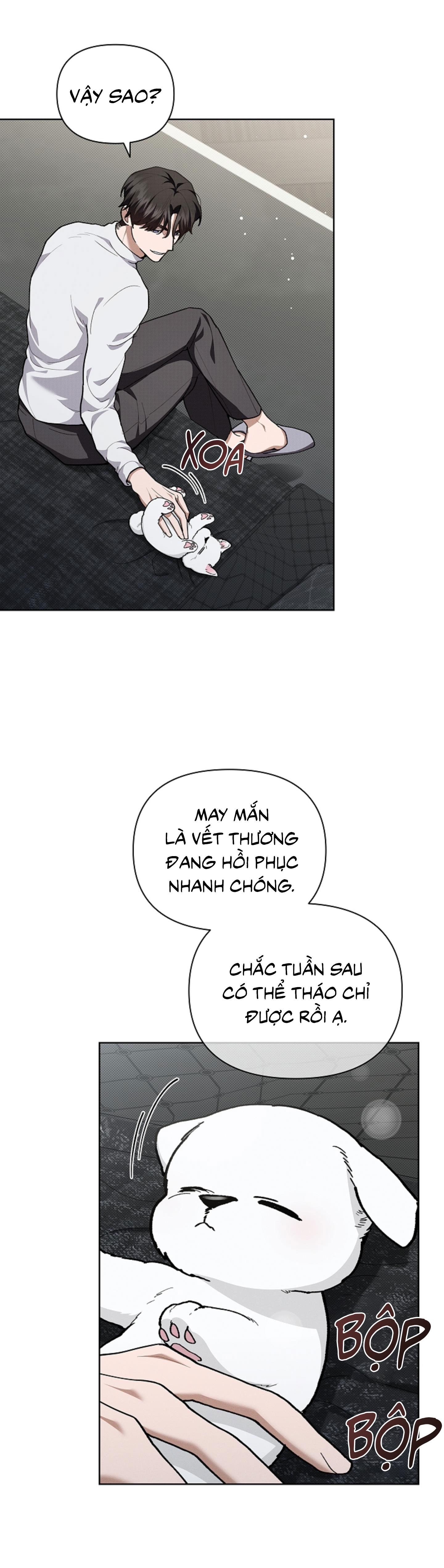 Đọc truyện ĐỪNG ĐỘNG VÀO CÚN CON! - Chapter 7