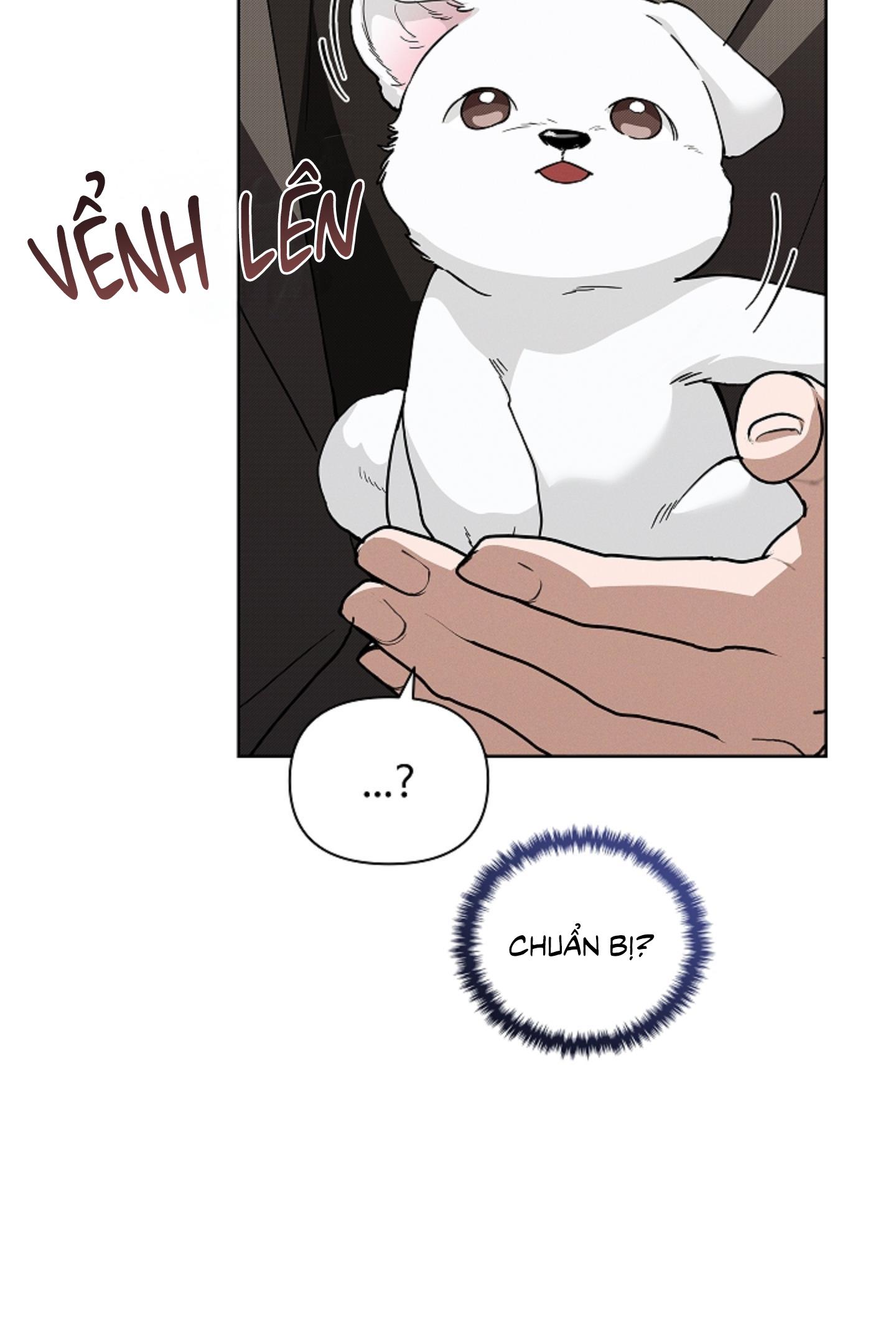 Đọc truyện ĐỪNG ĐỘNG VÀO CÚN CON! - Chapter 28