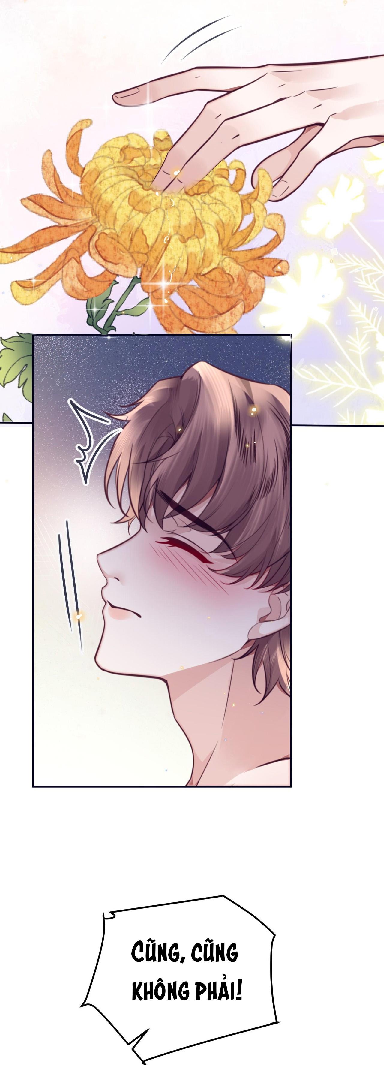 Đọc truyện Đặc Chế Cho Riêng Anh - Chapter 82
