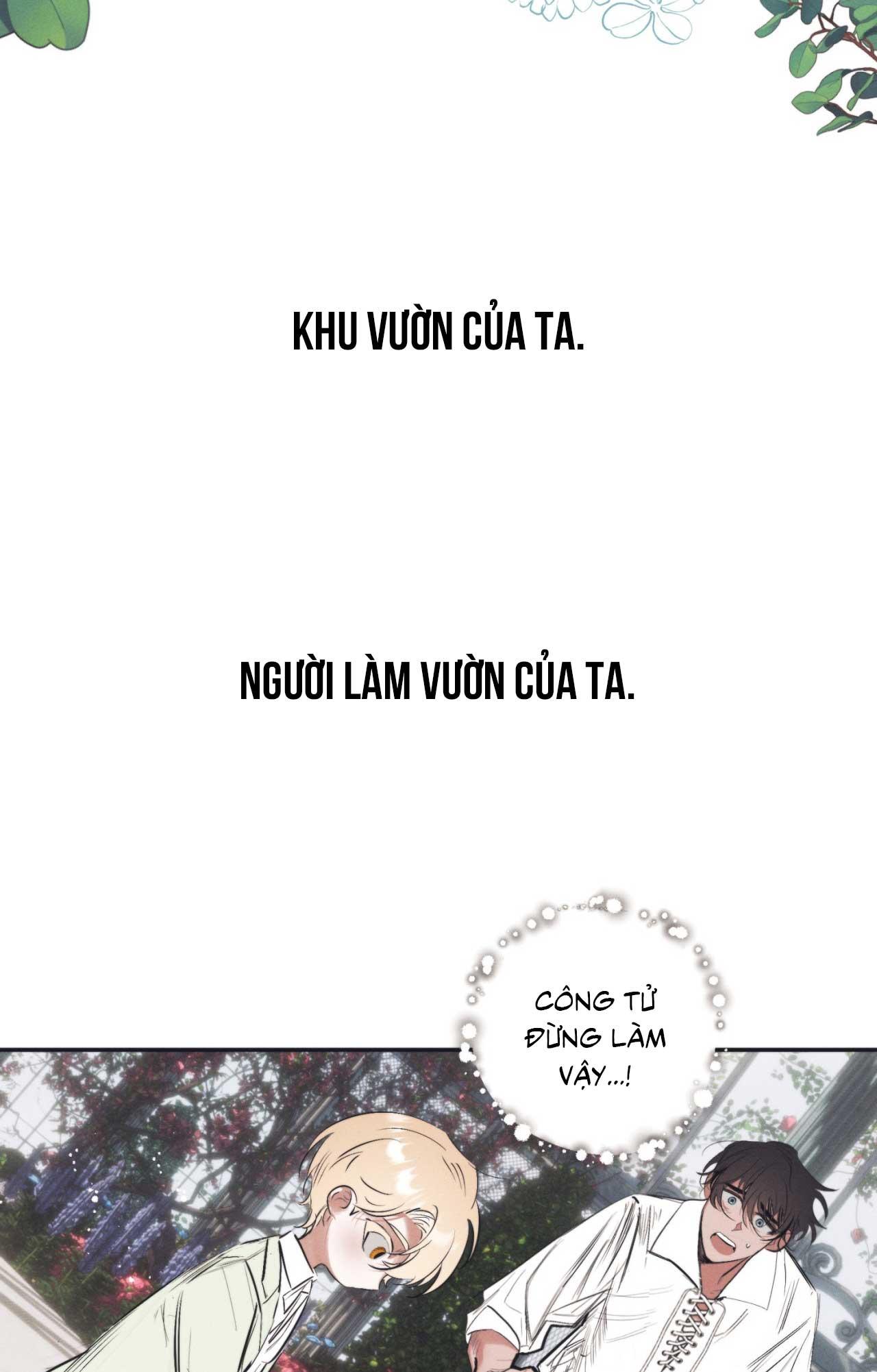 Đọc truyện KHU VƯỜN CỦA ESTHER - Chapter 1