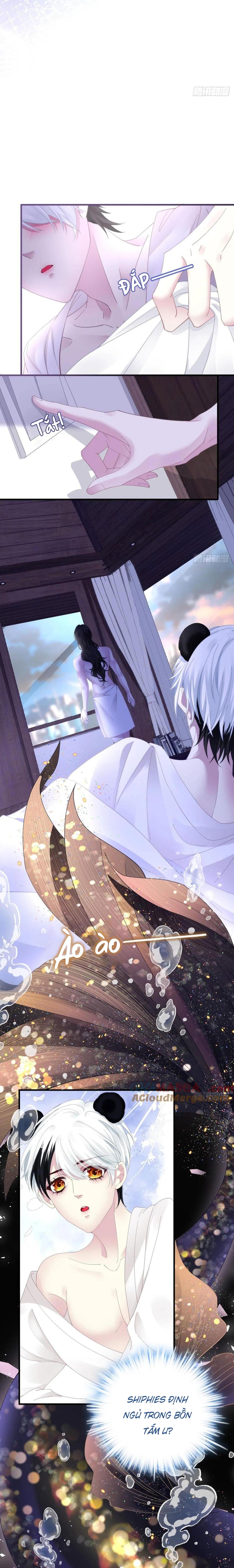 Đọc truyện Thánh Tâm không dễ chọc - Chapter 43