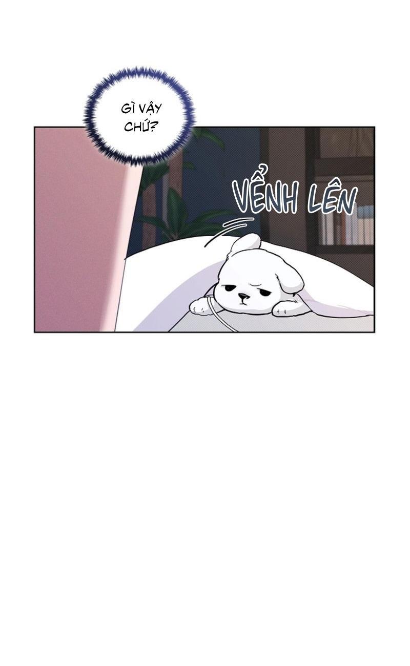 Đọc truyện ĐỪNG ĐỘNG VÀO CÚN CON! - Chapter 17