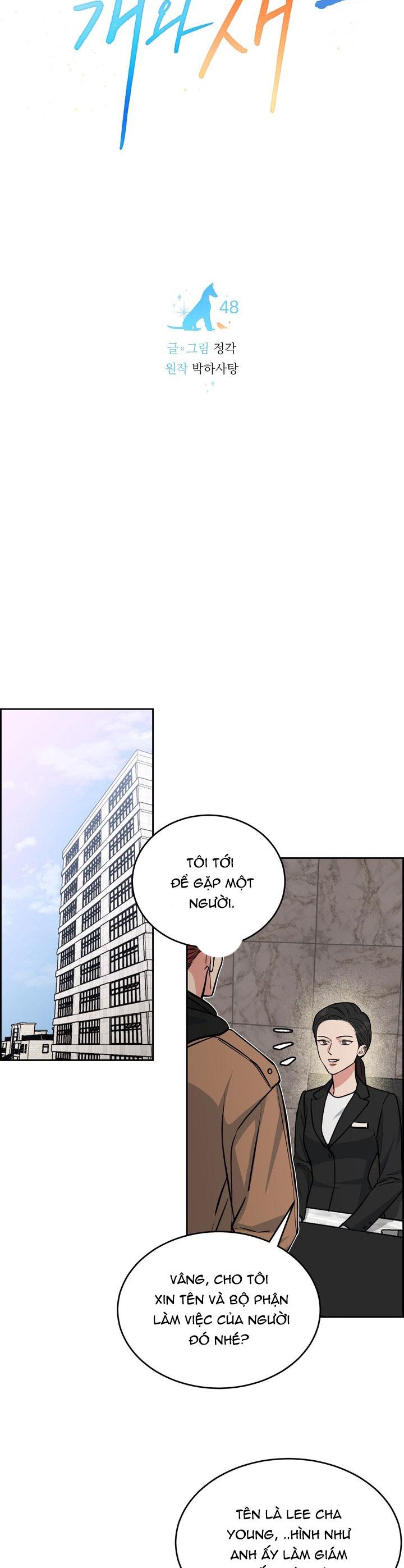 Đọc truyện CHÓ VÀ CHIM - Chapter 48