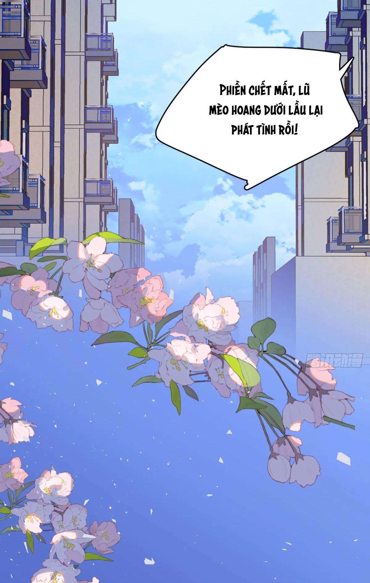 Đọc truyện Tà thần của riêng tôi - Chapter 9.5