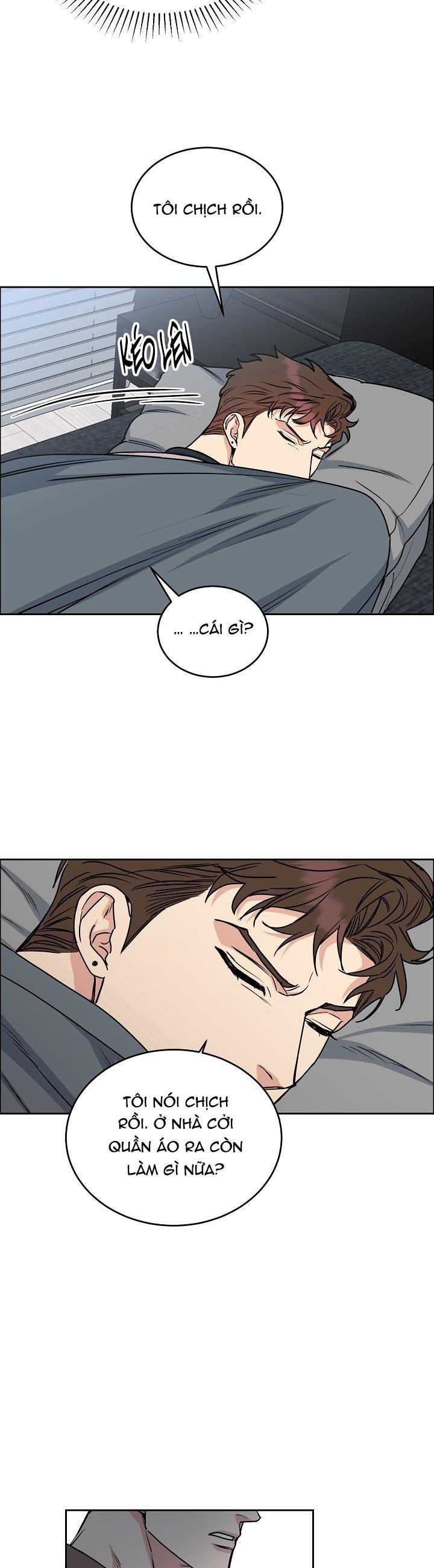 Đọc truyện CHÓ VÀ CHIM - Chapter 21