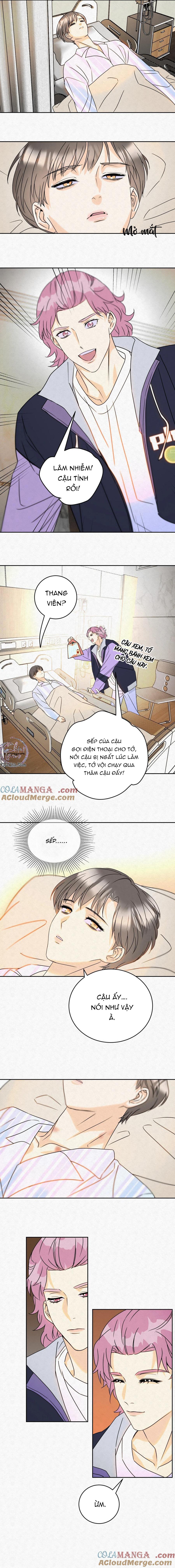 Đọc truyện Anh Trai Rẻ Tiền Của Tôi (END) - Chapter 18