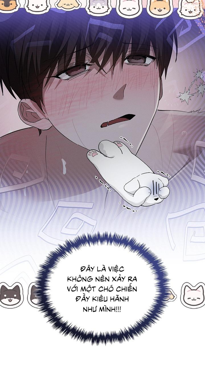 Đọc truyện ĐỪNG ĐỘNG VÀO CÚN CON! - Chapter 32