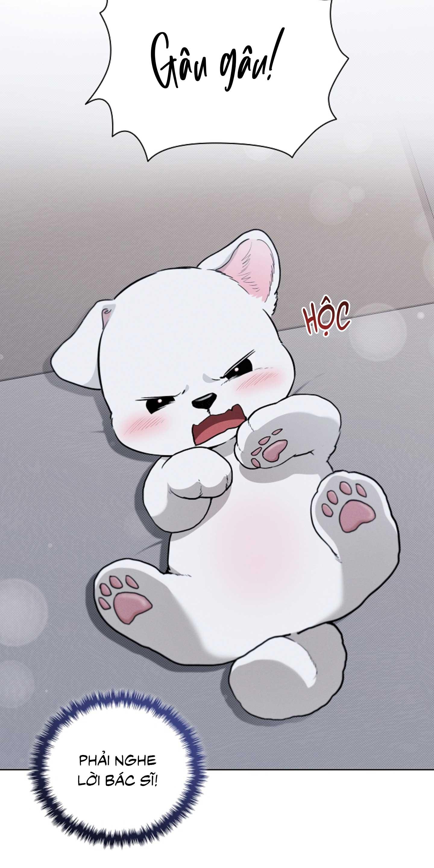 Đọc truyện ĐỪNG ĐỘNG VÀO CÚN CON! - Chapter 23