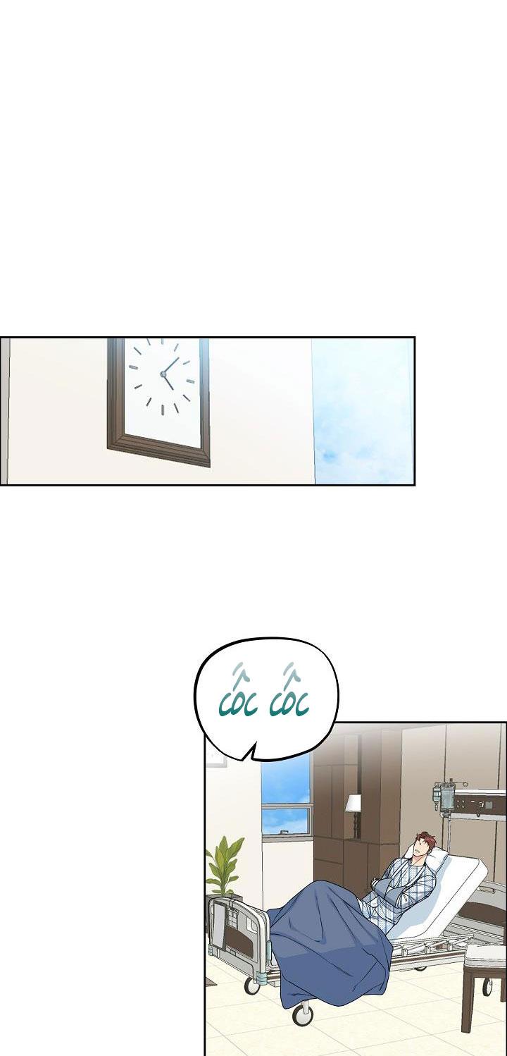Đọc truyện CHÓ VÀ CHIM - Chapter 15