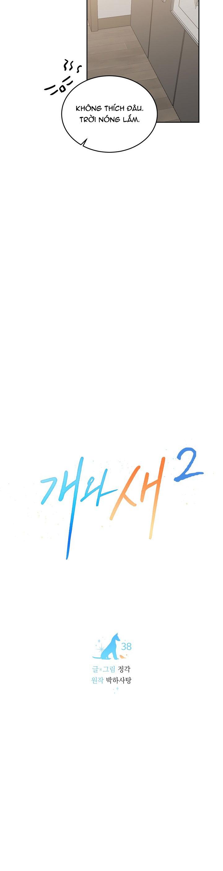 Đọc truyện CHÓ VÀ CHIM - Chapter 38