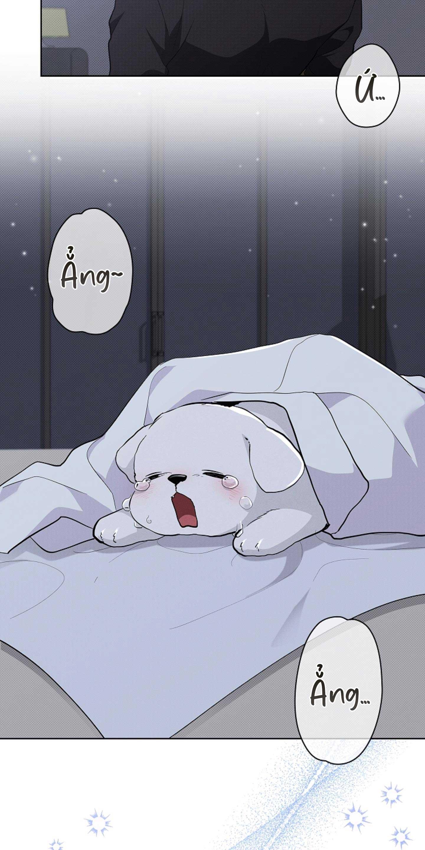 Đọc truyện ĐỪNG ĐỘNG VÀO CÚN CON! - Chapter 30