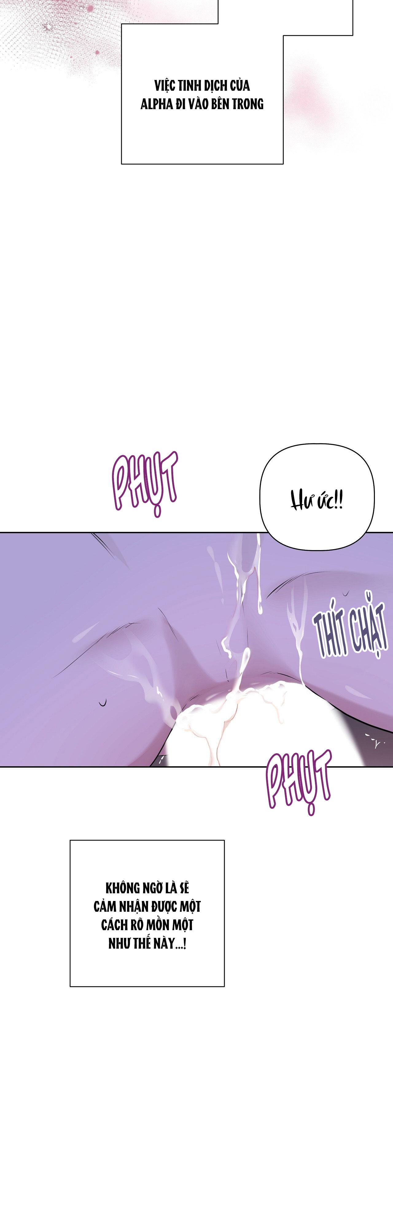 Đọc truyện OMEGA HOÀN HẢO CỦA TÔI - Chapter 7