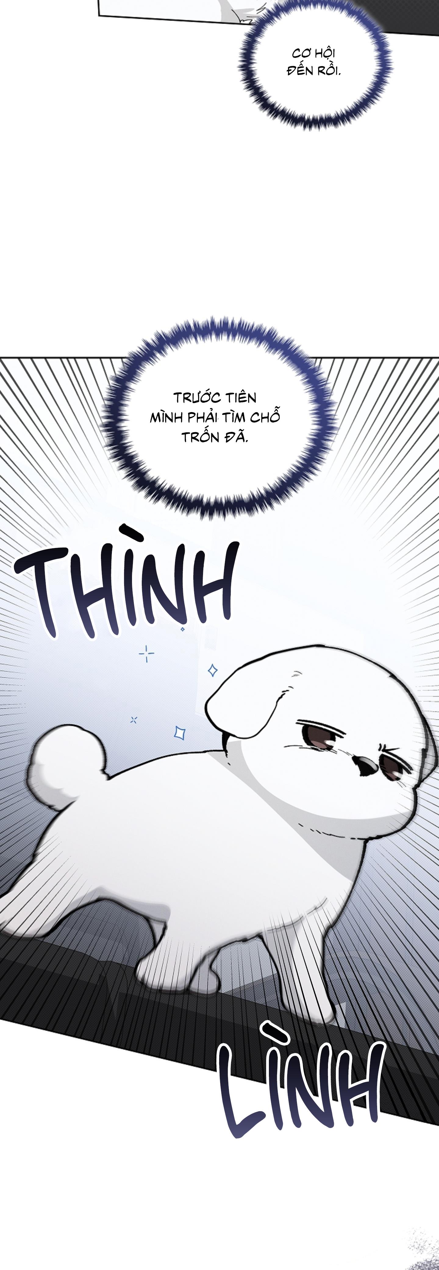 Đọc truyện ĐỪNG ĐỘNG VÀO CÚN CON! - Chapter 9