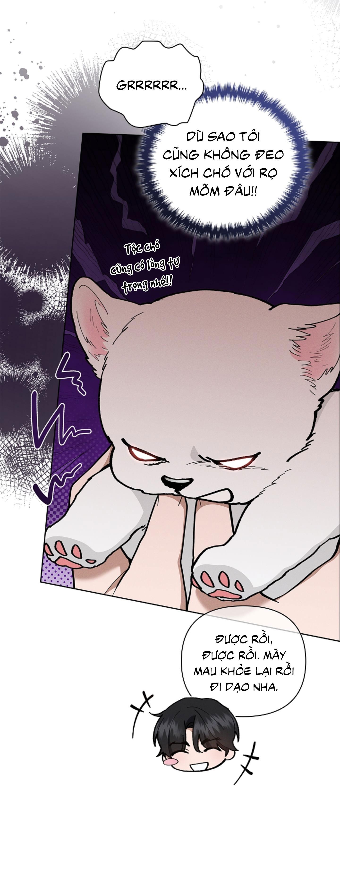 Đọc truyện ĐỪNG ĐỘNG VÀO CÚN CON! - Chapter 7