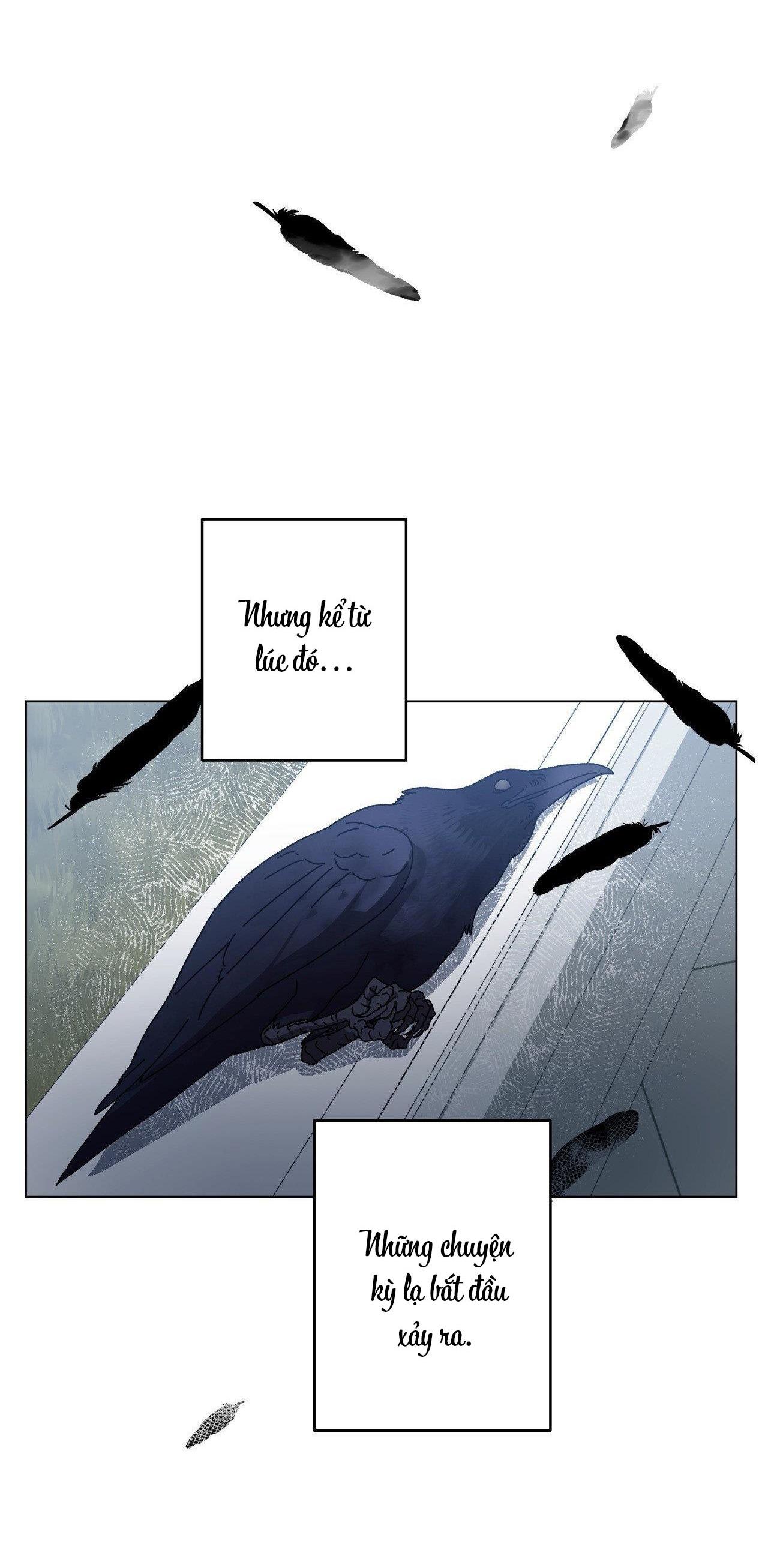 Đọc truyện |DROP| In The Deep - Chapter 7