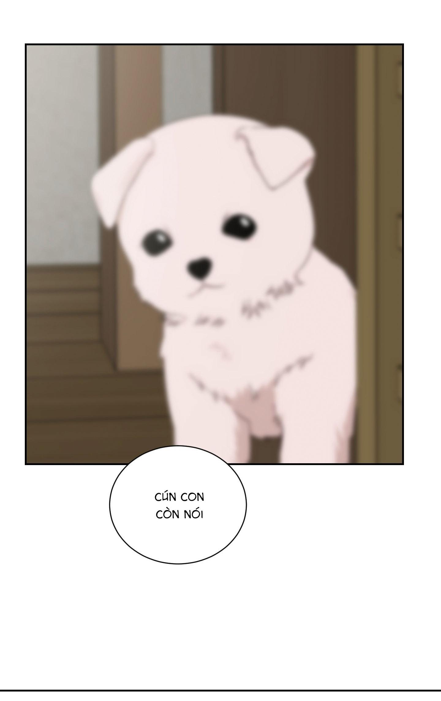 Đọc truyện (CBunu) Điểm dừng chân cuối cùng - Chapter 62