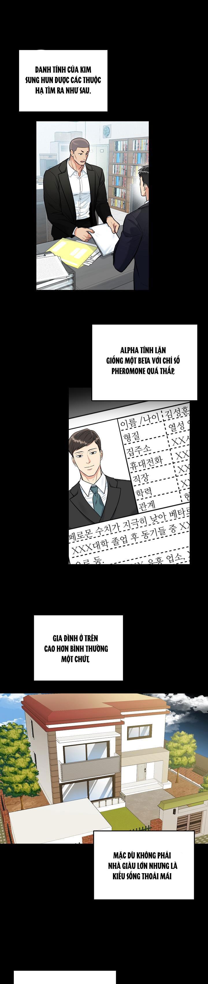 Đọc truyện (ABO) HANG HỔ - Chapter 52